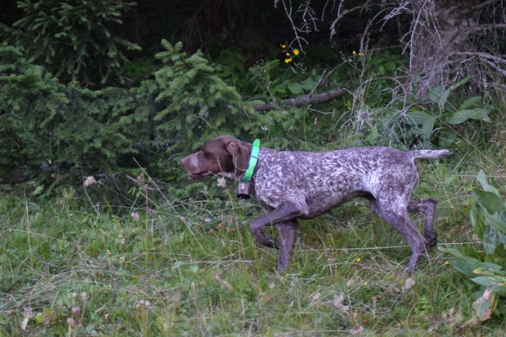 Gina du Val d'Ondaine